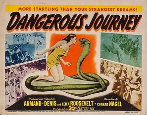 Dangerous Journey - Movie Poster (thumbnail)