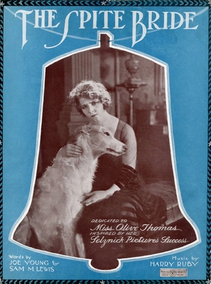 The Spite Bride - Movie Poster (thumbnail)
