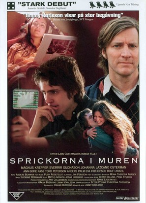 Sprickorna i muren - Swedish DVD movie cover (thumbnail)