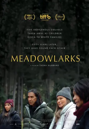 Meadowlarks Poster