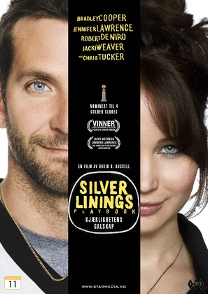 Silver Linings Playbook - Norwegian DVD movie cover (thumbnail)