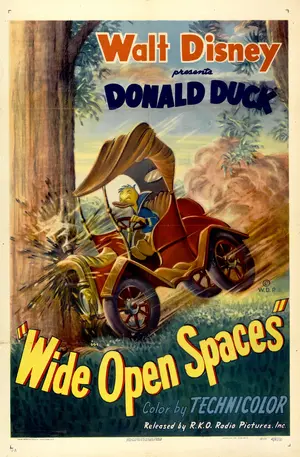 Wide Open Spaces Poster