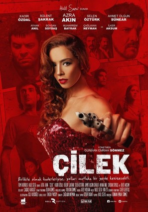 &Ccedil;ilek - Turkish Movie Poster (thumbnail)