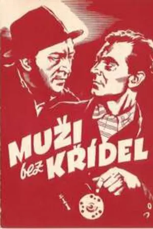 Muzi bez krídel Poster