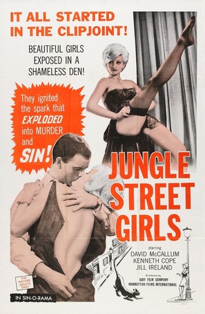 Jungle Street - Movie Poster (thumbnail)