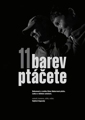 11 barev pt&aacute;cete - Czech Movie Poster (thumbnail)