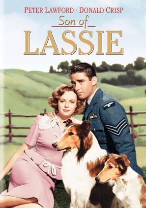 Son of Lassie - DVD movie cover (thumbnail)