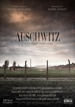 Auschwitz - Movie Poster (thumbnail)