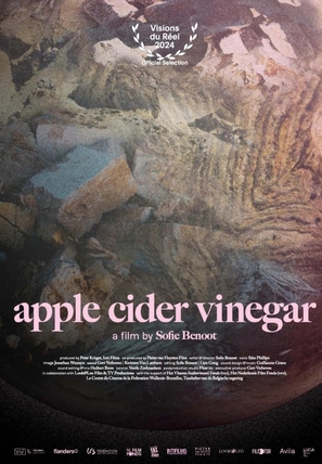 Apple Cider Vinegar - Belgian Movie Poster (thumbnail)