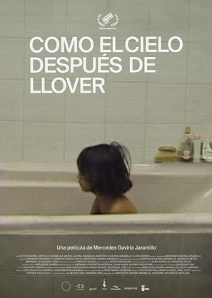 Como el cielo despu&eacute;s de llover - Colombian Movie Poster (thumbnail)