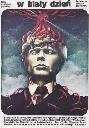 W bialy dzien - Polish Movie Poster (thumbnail)