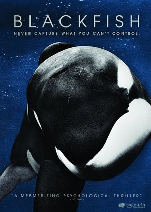 Blackfish - DVD movie cover (thumbnail)