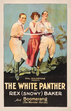 The White Panther - Movie Poster (thumbnail)