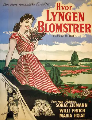 Grün ist die Heide Poster