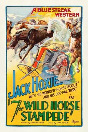 The Wild Horse Stampede - Movie Poster (thumbnail)