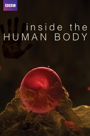 &quot;Inside the Human Body&quot; - DVD movie cover (thumbnail)