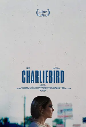 Charliebird Poster
