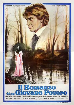 Il romanzo di un giovane povero Poster