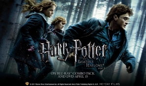 Harry Potter and the Deathly Hallows - Part 1 - Movie Poster (thumbnail)