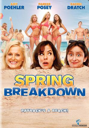 Spring Breakdown - DVD movie cover (thumbnail)