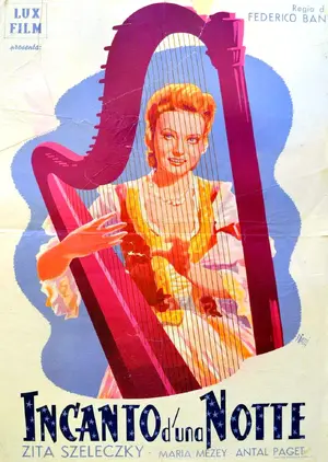 Egy éjszaka Erdélyben Poster