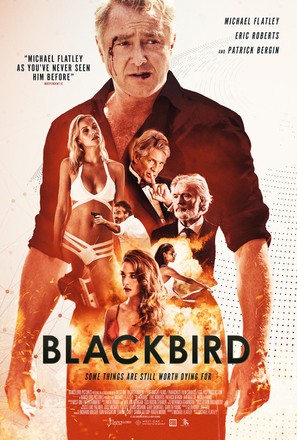 Blackbird - British Movie Poster (thumbnail)