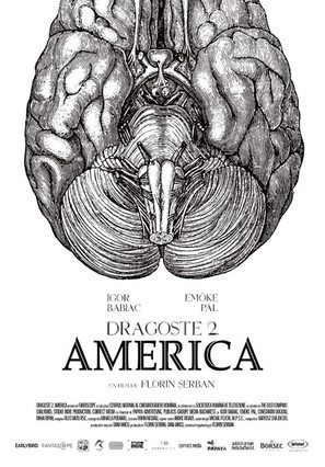 Dragoste 2. America - Romanian Movie Poster (thumbnail)