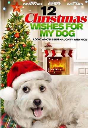 12 Wishes of Christmas - DVD movie cover (thumbnail)