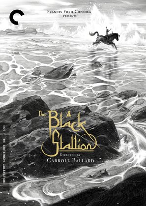 The Black Stallion - DVD movie cover (thumbnail)