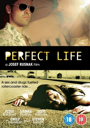 Perfect Life - British Movie Cover (thumbnail)