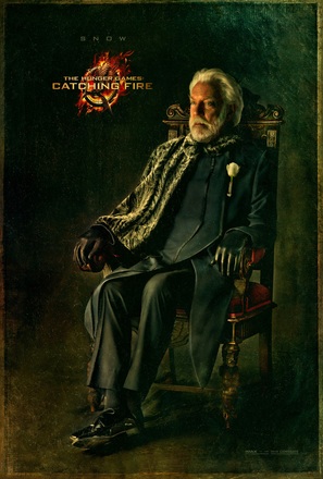 The Hunger Games: Catching Fire - Movie Poster (thumbnail)