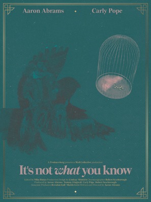 It&#039;s Not What You Know - Movie Poster (thumbnail)