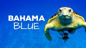 &quot;Bahama Blue&quot; - Canadian Movie Poster (thumbnail)