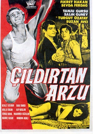 &Ccedil;ildirtan arzu - Turkish Movie Poster (thumbnail)