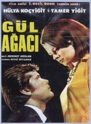 G&uuml;l agaci - Turkish Movie Poster (thumbnail)