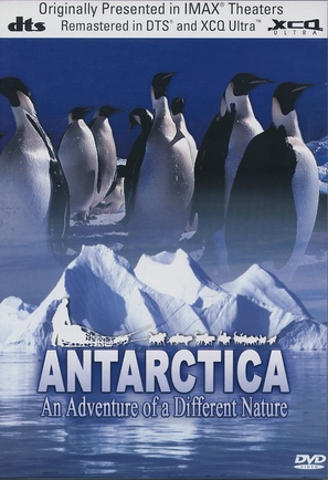 Antarctica - DVD movie cover (thumbnail)
