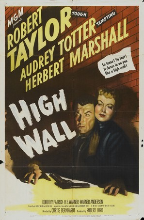High Wall - Movie Poster (thumbnail)
