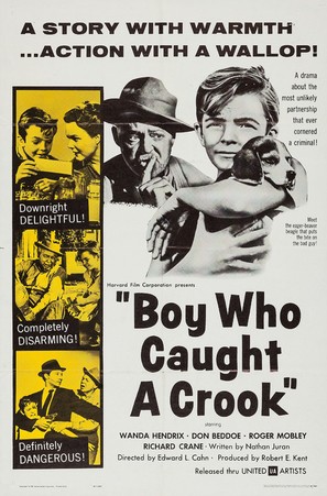 Boy Who Caught a Crook - Movie Poster (thumbnail)