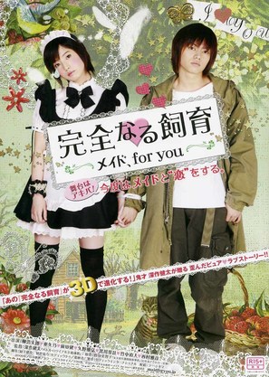 Kanzen naru shiiku: Meido, for you - Japanese Movie Poster (thumbnail)