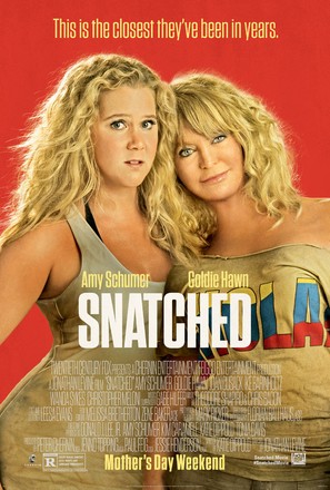 Snatched - Movie Poster (thumbnail)
