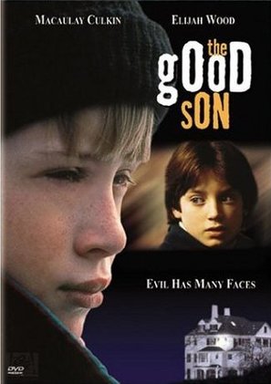 The Good Son - DVD movie cover (thumbnail)