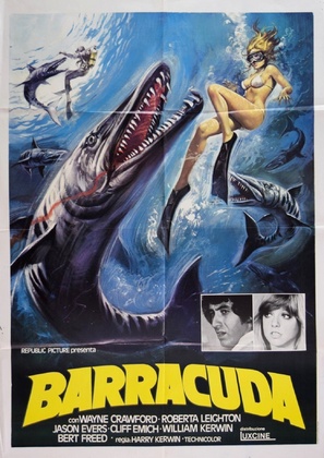 Barracuda - Italian Movie Poster (thumbnail)