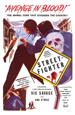 Street-Fighter - Movie Poster (thumbnail)