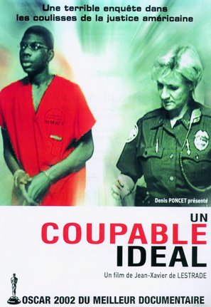 Un coupable id&eacute;al - French Movie Cover (thumbnail)