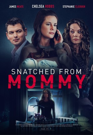 Snatched from Mommy - Movie Poster (thumbnail)