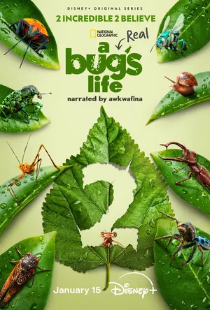 "A Real Bug's Life" Poster