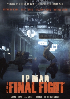 Yip Man: Jung gik yat jin - Hong Kong Movie Poster (thumbnail)