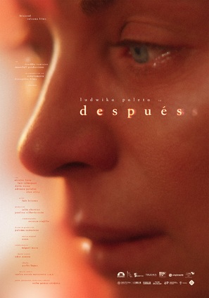 Despu&eacute;s - Mexican Movie Poster (thumbnail)