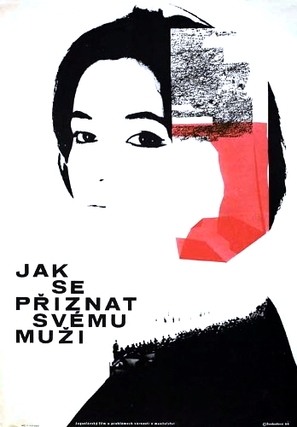 Pravo stanje stvari - Czech Movie Poster (thumbnail)