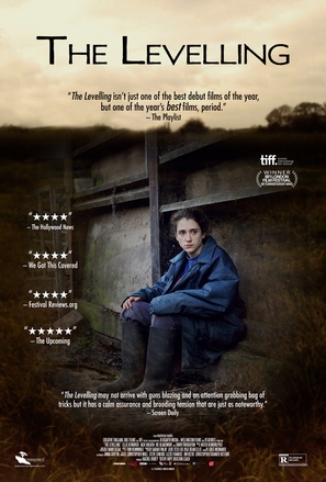 The Levelling - Movie Poster (thumbnail)